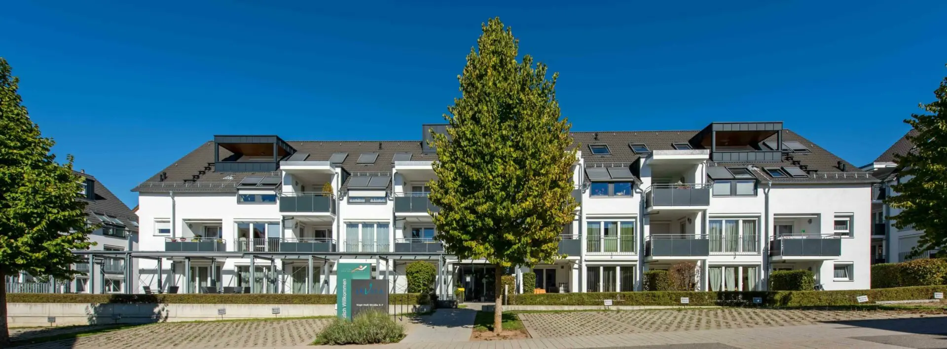 InVita - 1e1a7dfb-ca62-4f99-9cea-8aabea4781bd-scaled.jpeg (2767)