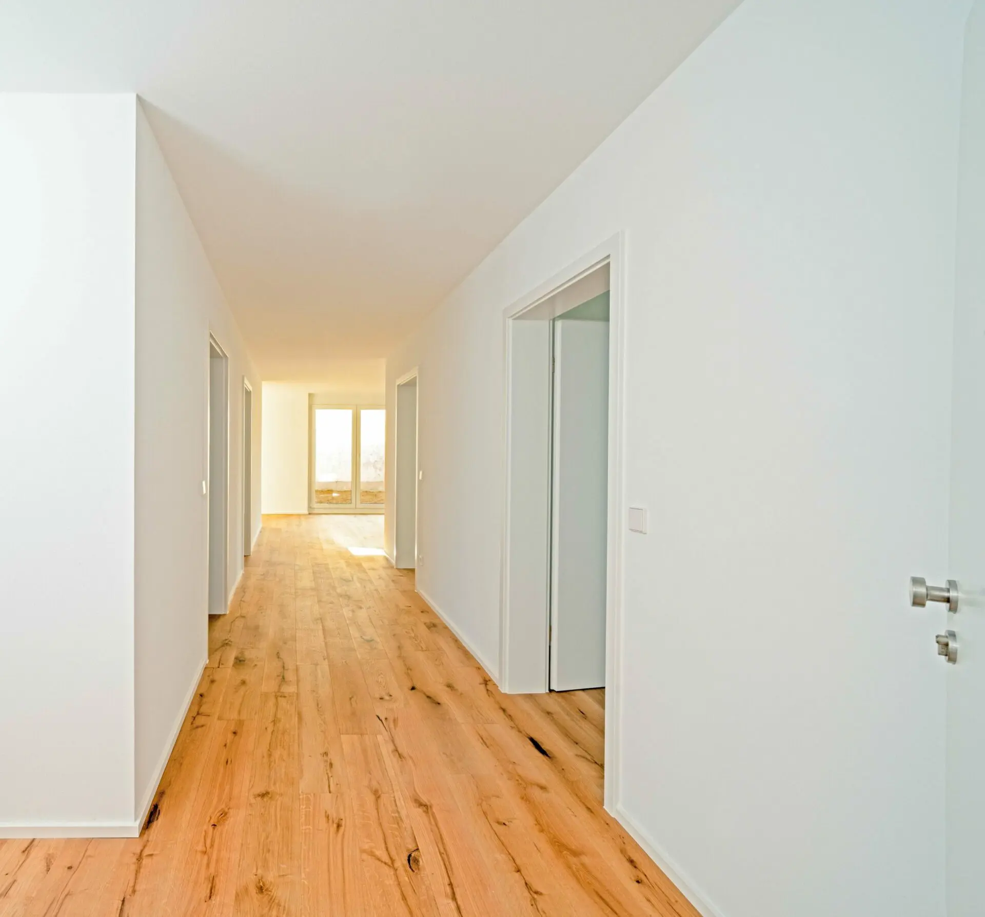 Meisennest - DSC01134-Bearbeitet-scaled.jpg (2730)